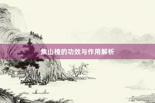 焦山楂的功效与作用解析